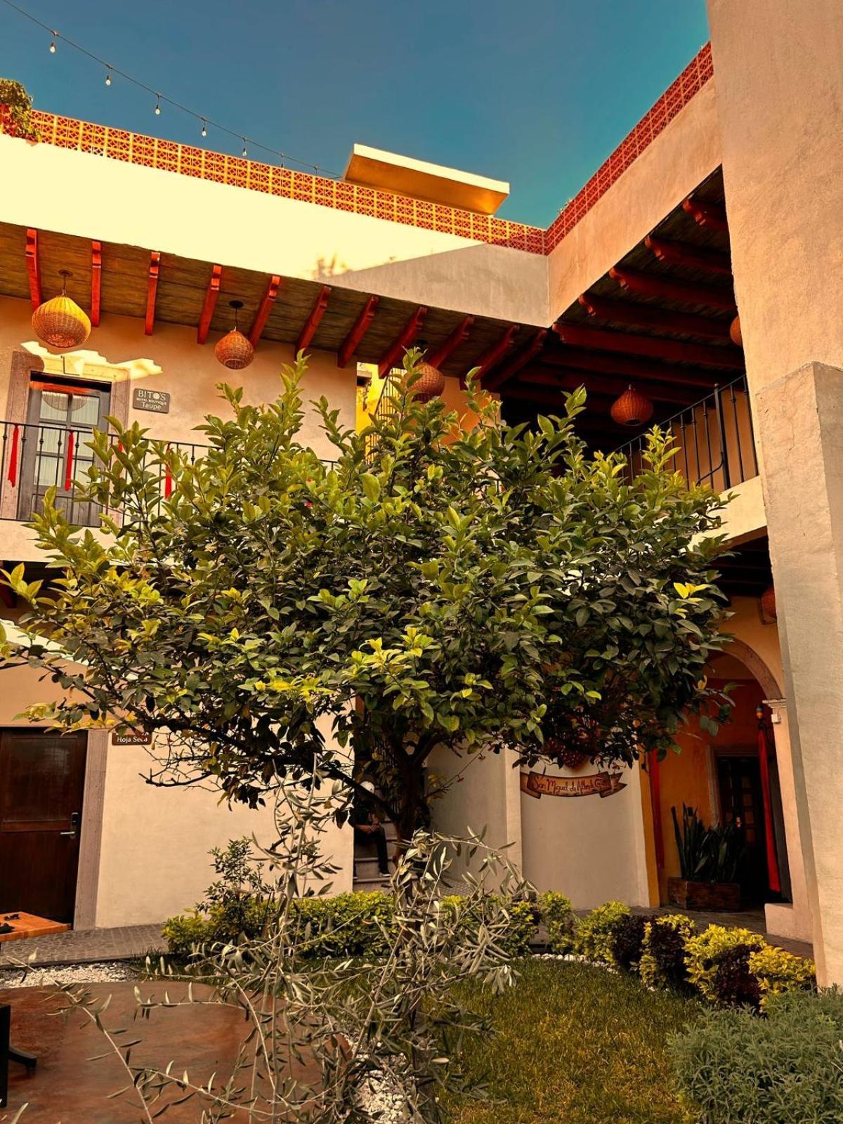 Bito'S Hotel Boutique Альенде Экстерьер фото